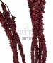 AMARANTHUS ARTIFICIALE