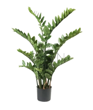 ZAMIOCULCAS ARTIFICIALE