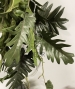 PHILODENDRON SELLOUM CADENTE ARTIFICIALE