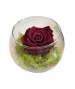 GLASS POT CON ROSA STABILIZZATA