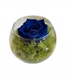 GLASS POT CON ROSA STABILIZZATA