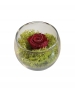 GLASS POT CON ROSA STABILIZZATA