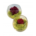 GLASS POT CON ROSA STABILIZZATA