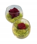 GLASS POT CON ROSA STABILIZZATA