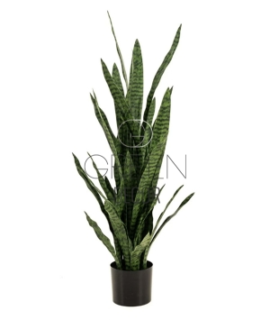 SANSEVERIA VERDE ARTIFICIALE