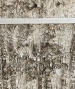 Betulla Birch Bark Quadro