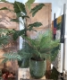VASO IN TERRACOTTA SMALTATO