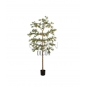 BUCIDA ARTIFICIALE PREMIUM 210 CM