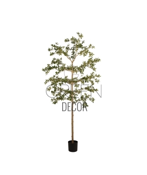 BUCIDA ARTIFICIALE PREMIUM 210 CM