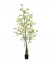 TROPAEOLUM ARTIFICIALE