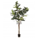 FICUS ELASTICA ARTIFICIALE 210 CM
