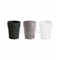 VASO ARES