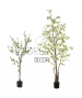 TROPAEOLUM ARTIFICIALE