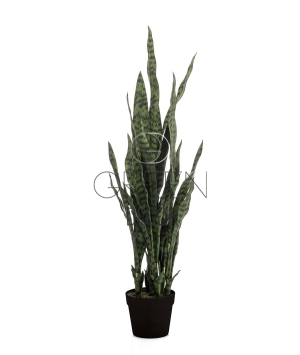 SANSEVERIA VERDE ARTIFICIALE