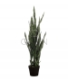 SANSEVERIA VERDE ARTIFICIALE