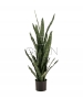 SANSEVERIA VERDE ARTIFICIALE
