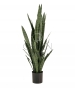 SANSEVERIA VERDE ARTIFICIALE