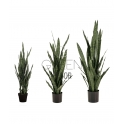 SANSEVERIA VERDE ARTIFICIALE
