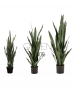 SANSEVERIA VERDE ARTIFICIALE