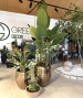 STRELIZIA CON FIORE ARTIFICIALE