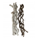 Rami cipo rosca legno contorti X 5 PZ