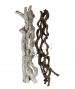 Rami cipo rosca legno contorti