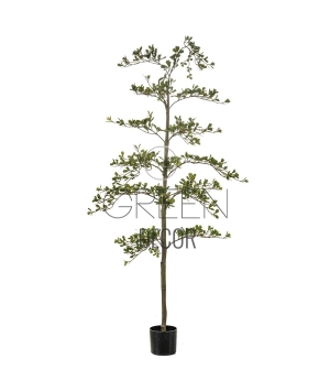 BUCIDA ARTIFICIALE 175 CM