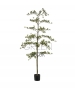 BUCIDA ARTIFICIALE 175 CM