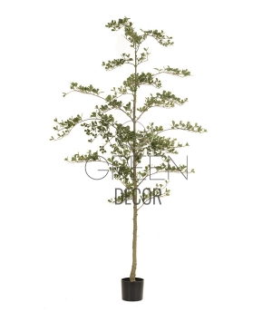 BUCIDA ARTIFICIALE 210 CM