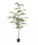 BUCIDA ARTIFICIALE 210 CM