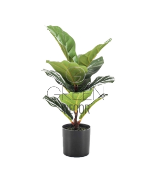 FICUS LYRATA ARTIFICIALE