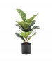 FICUS LYRATA ARTIFICIALE
