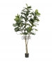 FICUS LYRATA ARTIFICIALE