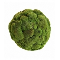 SFERA IN POLEMOSS STABILIZZATO