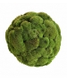 SFERA IN POLEMOSS STABILIZZATO
