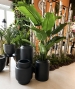 VASO BILLUND