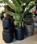 VASO ROSKILDE