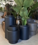 VASO HORSENS