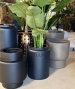 VASO HORSENS