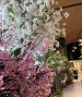 ALBERO PERSONALIZZATO PESCO GIAPPONESE