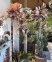 ALBERO PERSONALIZZATO CROTON