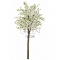 ALBERO PESCO GIAPPONESE BIANCO
