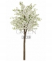 ALBERO PESCO GIAPPONESE