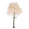 ALBERO FIORITO PESCA