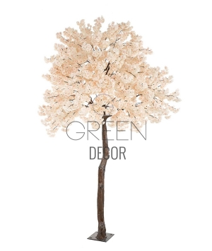 ALBERO FIORITO PESCA