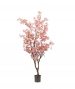 ALBERO DI CILIEGIO ROSA