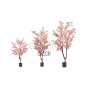 ALBERO DI CILIEGIO ROSA