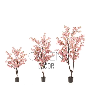 ALBERO DI CILIEGIO ROSA