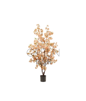 ALBERO DI CILIEGIO PESCA
