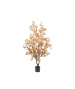ALBERO DI CILIEGIO PESCA